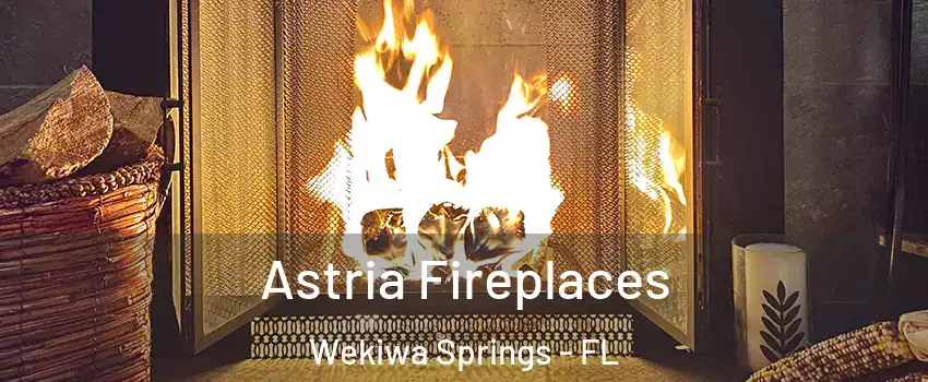  Astria Fireplaces Wekiwa Springs - FL