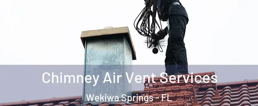  Chimney Air Vent Services Wekiwa Springs - FL