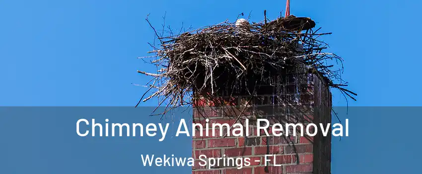  Chimney Animal Removal Wekiwa Springs - FL
