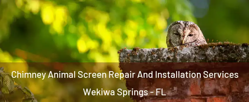  Chimney Animal Screen Repair And Installation Services Wekiwa Springs - FL