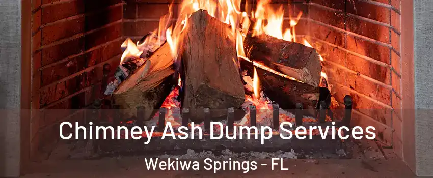  Chimney Ash Dump Services Wekiwa Springs - FL