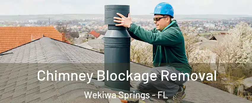  Chimney Blockage Removal Wekiwa Springs - FL