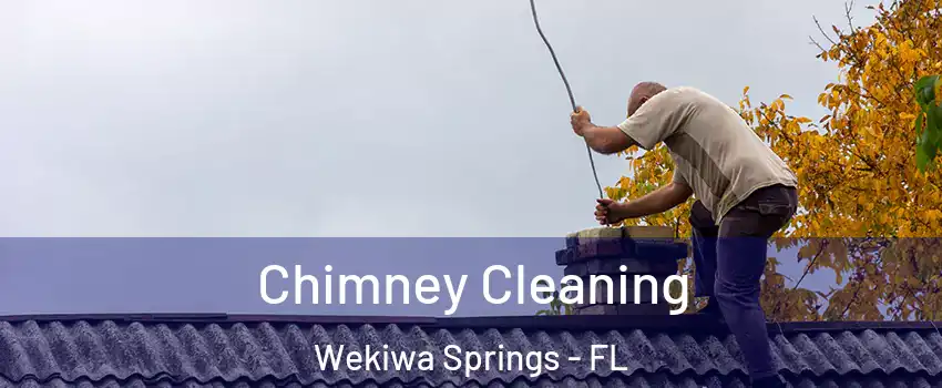  Chimney Cleaning Wekiwa Springs - FL
