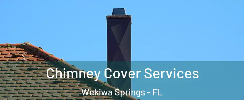 Chimney Cover Services Wekiwa Springs - FL