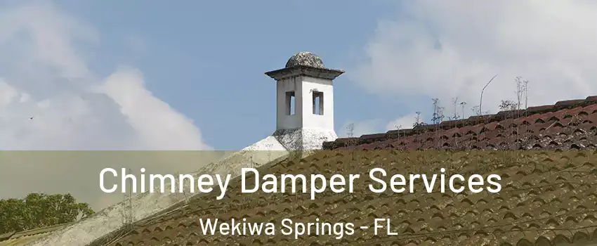  Chimney Damper Services Wekiwa Springs - FL