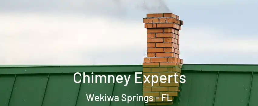 Chimney Experts Wekiwa Springs - FL