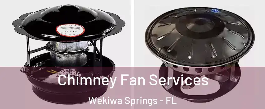  Chimney Fan Services Wekiwa Springs - FL
