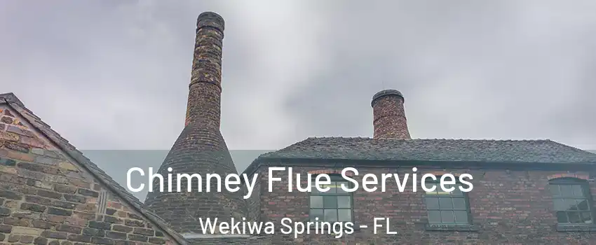  Chimney Flue Services Wekiwa Springs - FL