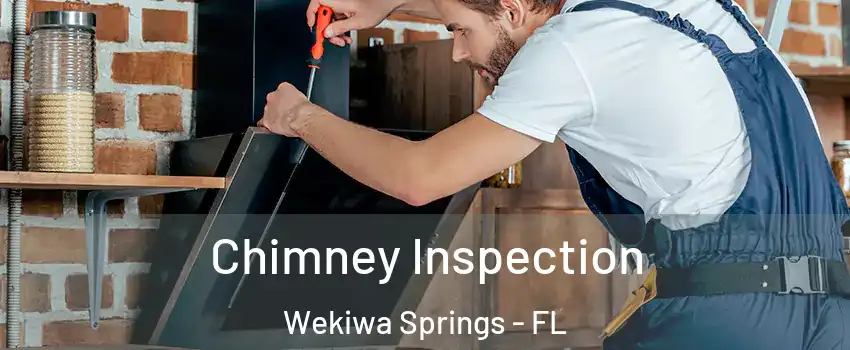  Chimney Inspection Wekiwa Springs - FL