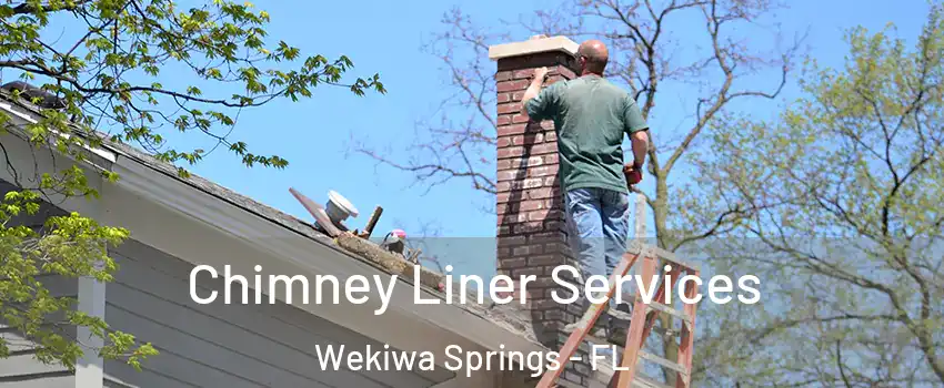  Chimney Liner Services Wekiwa Springs - FL