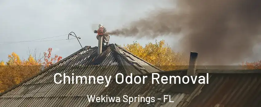  Chimney Odor Removal Wekiwa Springs - FL