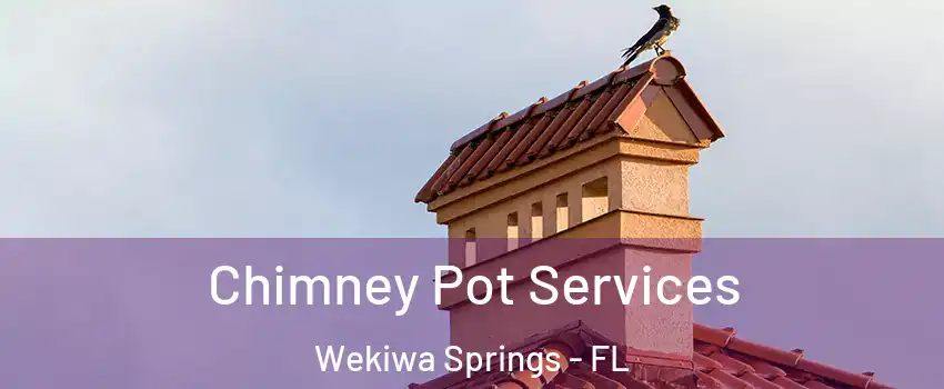  Chimney Pot Services Wekiwa Springs - FL