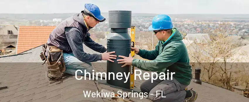  Chimney Repair Wekiwa Springs - FL
