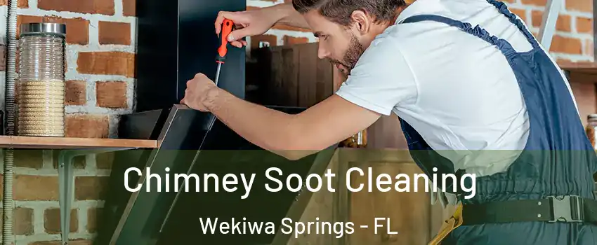  Chimney Soot Cleaning Wekiwa Springs - FL