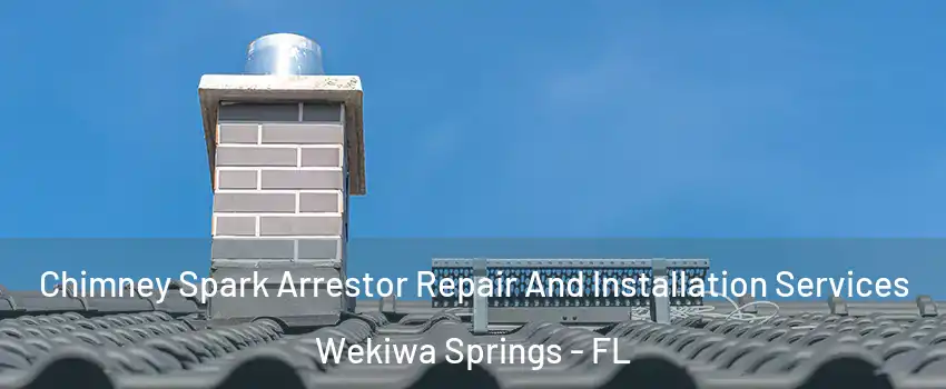  Chimney Spark Arrestor Repair And Installation Services Wekiwa Springs - FL
