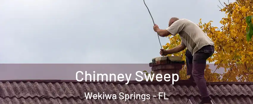  Chimney Sweep Wekiwa Springs - FL