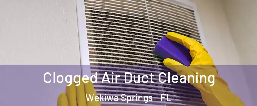  Clogged Air Duct Cleaning Wekiwa Springs - FL