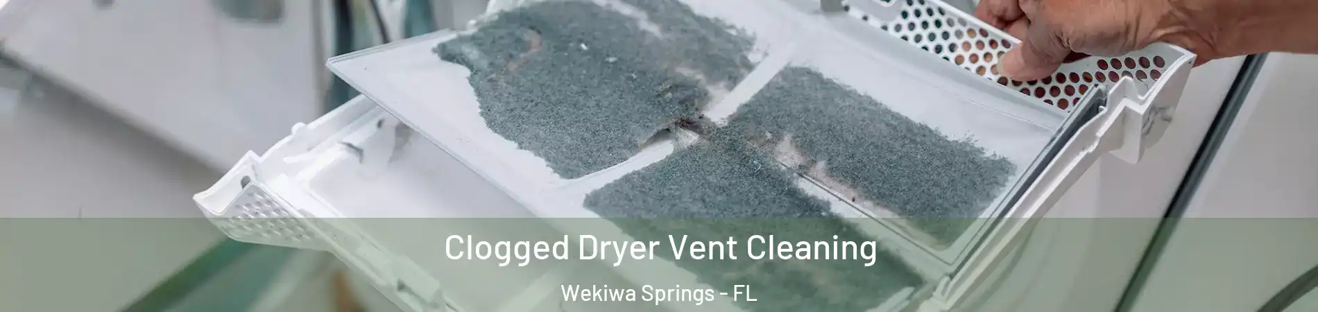 Clogged Dryer Vent Cleaning Wekiwa Springs - FL