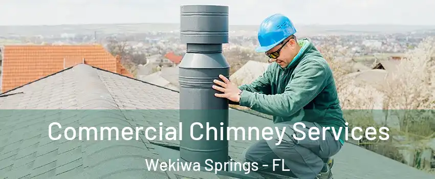  Commercial Chimney Services Wekiwa Springs - FL