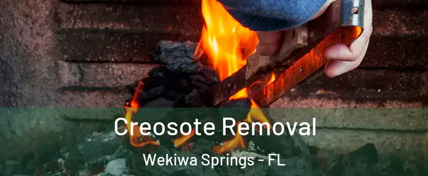  Creosote Removal Wekiwa Springs - FL
