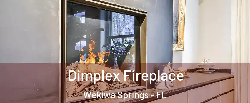  Dimplex Fireplace Wekiwa Springs - FL