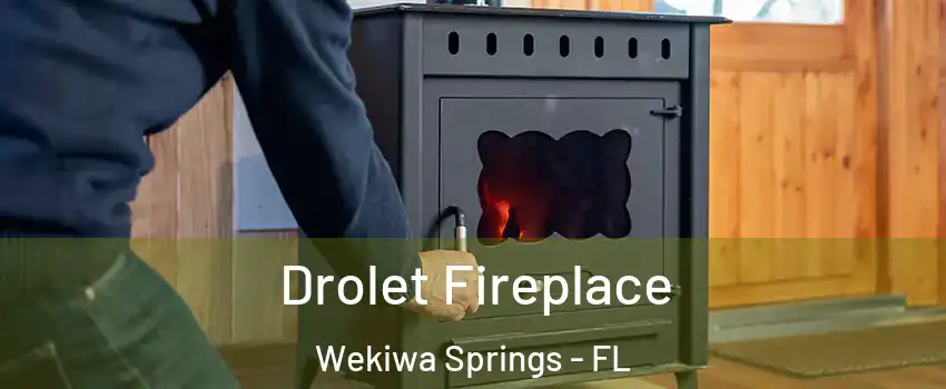  Drolet Fireplace Wekiwa Springs - FL