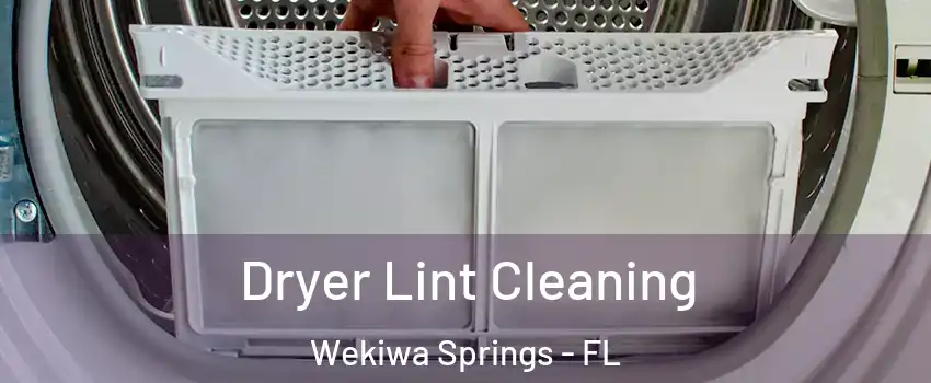  Dryer Lint Cleaning Wekiwa Springs - FL