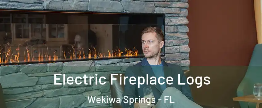  Electric Fireplace Logs Wekiwa Springs - FL