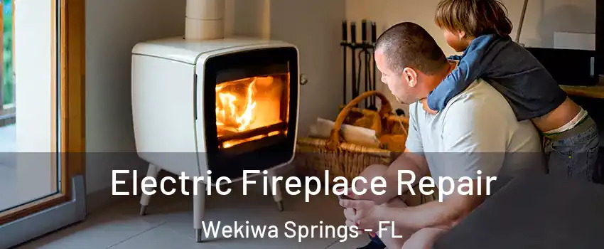  Electric Fireplace Repair Wekiwa Springs - FL