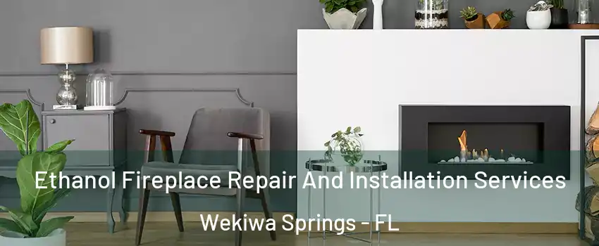  Ethanol Fireplace Repair And Installation Services Wekiwa Springs - FL