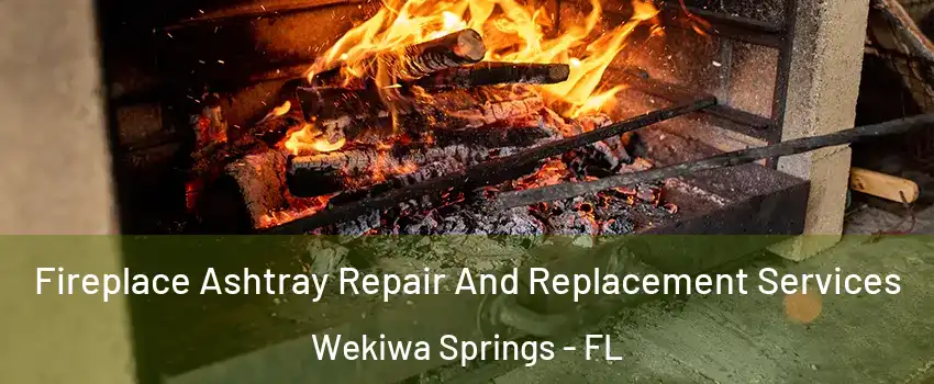  Fireplace Ashtray Repair And Replacement Services Wekiwa Springs - FL