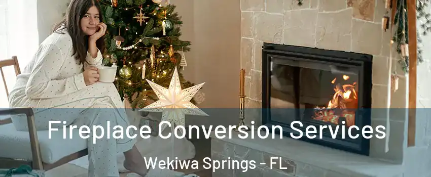  Fireplace Conversion Services Wekiwa Springs - FL