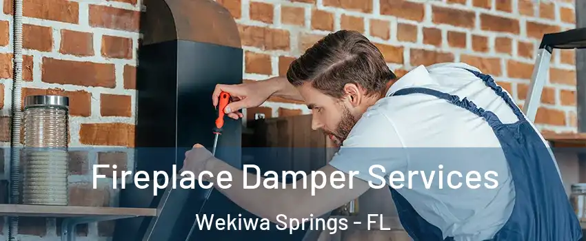  Fireplace Damper Services Wekiwa Springs - FL
