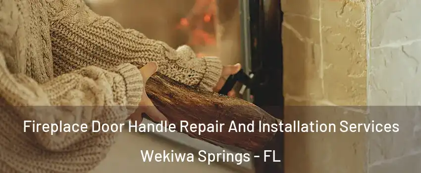  Fireplace Door Handle Repair And Installation Services Wekiwa Springs - FL