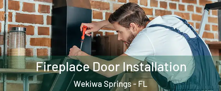  Fireplace Door Installation Wekiwa Springs - FL
