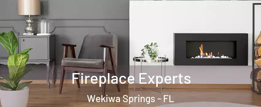  Fireplace Experts Wekiwa Springs - FL