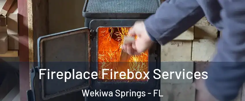  Fireplace Firebox Services Wekiwa Springs - FL