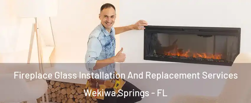 Fireplace Glass Installation And Replacement Services Wekiwa Springs - FL