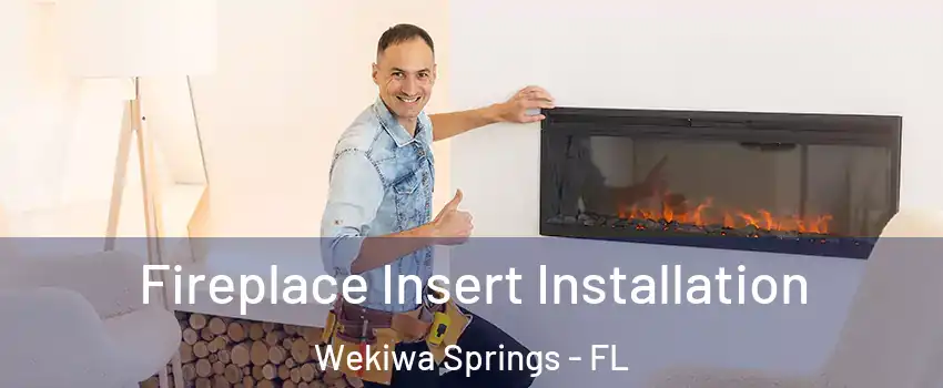 Fireplace Insert Installation Wekiwa Springs - FL