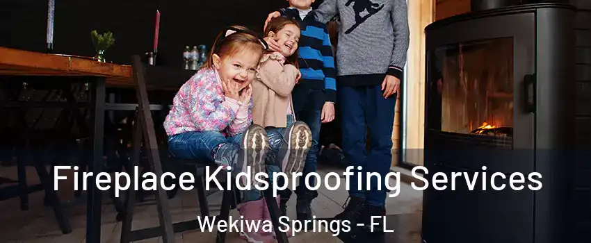  Fireplace Kidsproofing Services Wekiwa Springs - FL