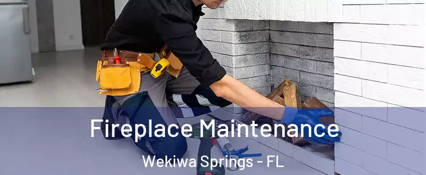  Fireplace Maintenance Wekiwa Springs - FL
