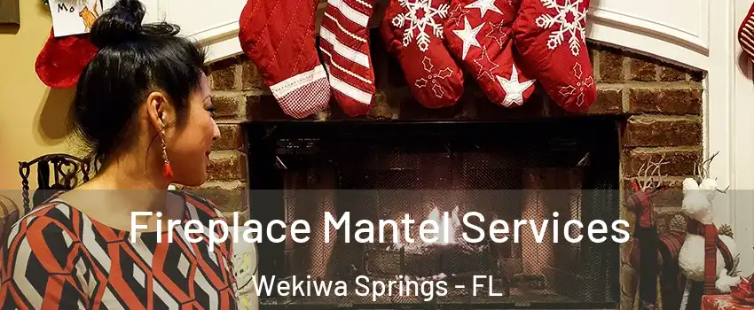  Fireplace Mantel Services Wekiwa Springs - FL
