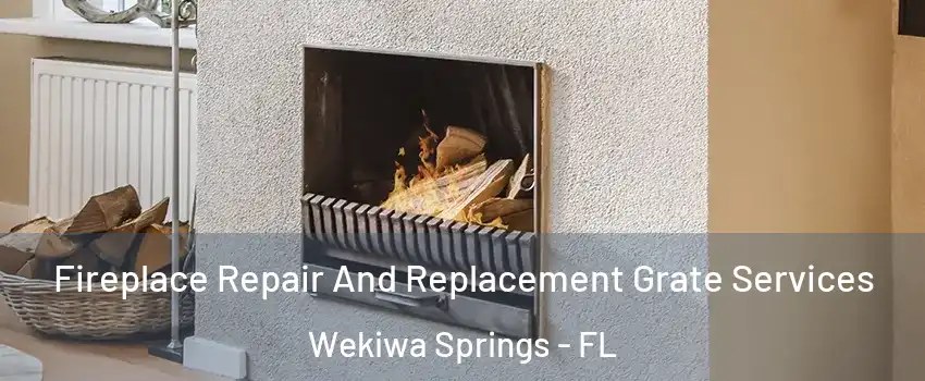  Fireplace Repair And Replacement Grate Services Wekiwa Springs - FL