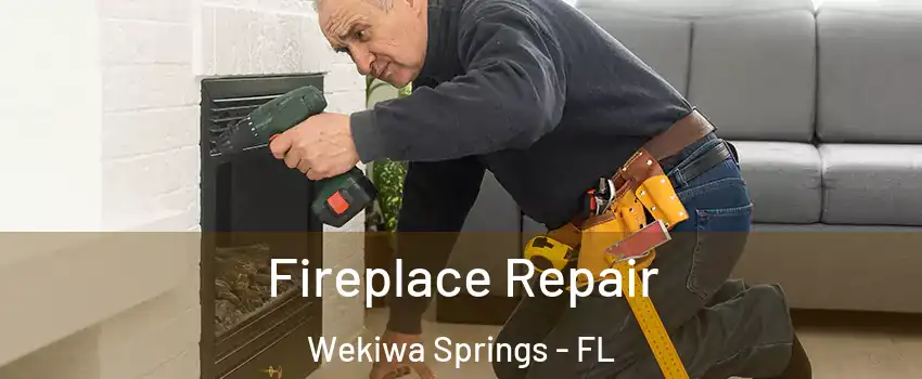  Fireplace Repair Wekiwa Springs - FL