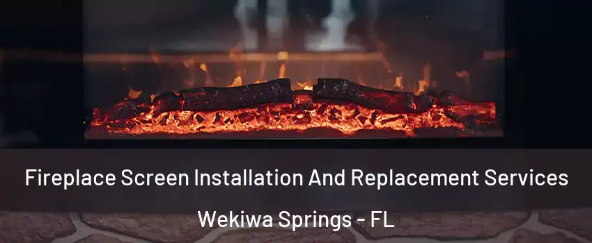  Fireplace Screen Installation And Replacement Services Wekiwa Springs - FL