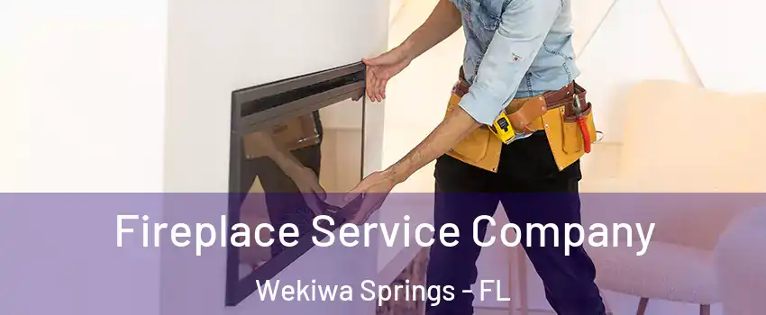 Fireplace Service Company Wekiwa Springs - FL