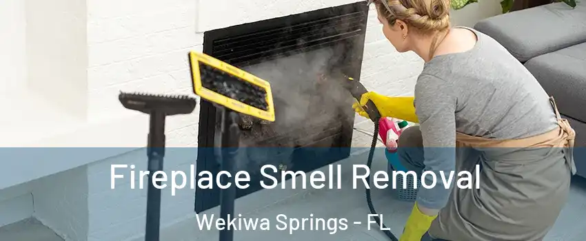  Fireplace Smell Removal Wekiwa Springs - FL