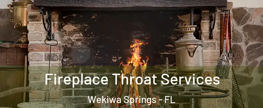  Fireplace Throat Services Wekiwa Springs - FL