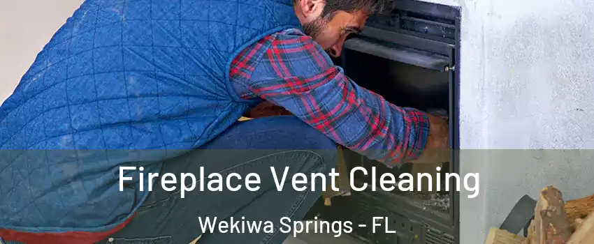  Fireplace Vent Cleaning Wekiwa Springs - FL