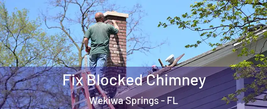  Fix Blocked Chimney Wekiwa Springs - FL